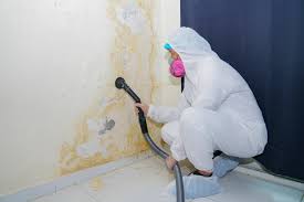 Mold Remediation for Rental Properties in James Island, SC